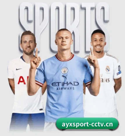 用冷酷数据对抗流量喧嚣(AYXSPORTS)